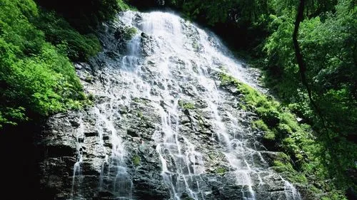 高效智能化高质量